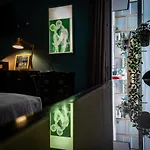 Apartman Mr Square